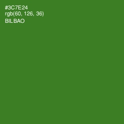 #3C7E24 - Bilbao Color Image