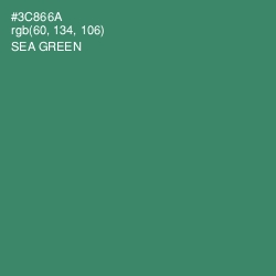 #3C866A - Sea Green Color Image