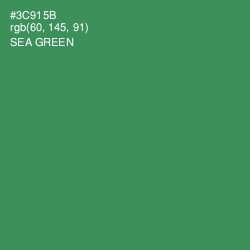 #3C915B - Sea Green Color Image