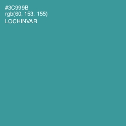 #3C999B - Lochinvar Color Image