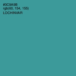 #3C9A9B - Lochinvar Color Image