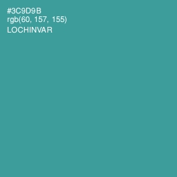 #3C9D9B - Lochinvar Color Image