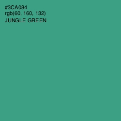 #3CA084 - Jungle Green Color Image