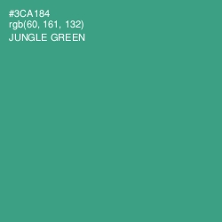 #3CA184 - Jungle Green Color Image