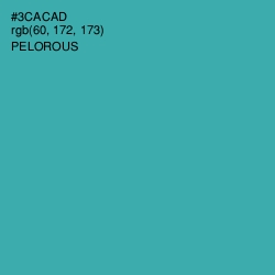 #3CACAD - Pelorous Color Image