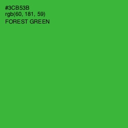#3CB53B - Forest Green Color Image
