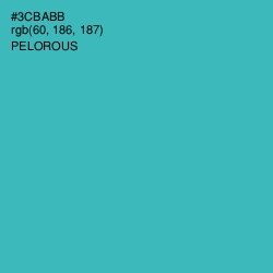 #3CBABB - Pelorous Color Image