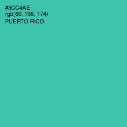 #3CC4AE - Puerto Rico Color Image