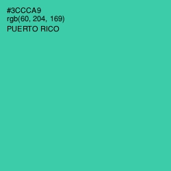 #3CCCA9 - Puerto Rico Color Image
