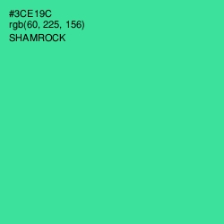 #3CE19C - Shamrock Color Image