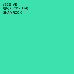 #3CE1AE - Shamrock Color Image