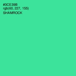 #3CE39B - Shamrock Color Image