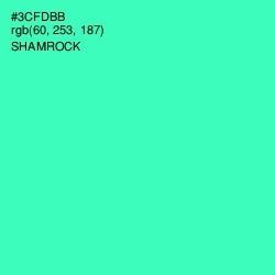 #3CFDBB - Shamrock Color Image