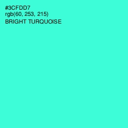 #3CFDD7 - Turquoise Color Image