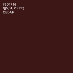 #3D1716 - Cedar Color Image