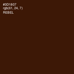 #3D1807 - Rebel Color Image