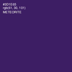 #3D1E65 - Meteorite Color Image