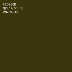 #3D350B - Waiouru Color Image