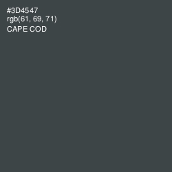 #3D4547 - Cape Cod Color Image