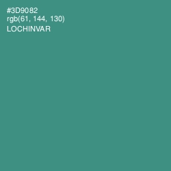 #3D9082 - Lochinvar Color Image