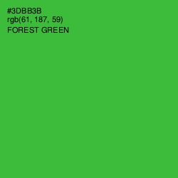 #3DBB3B - Forest Green Color Image