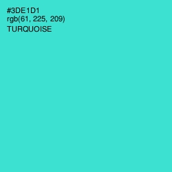 #3DE1D1 - Turquoise Color Image