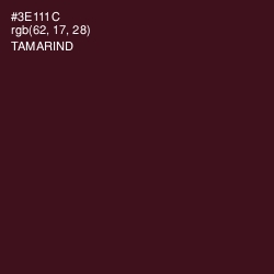 #3E111C - Tamarind Color Image