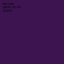 #3E1450 - Grape Color Image