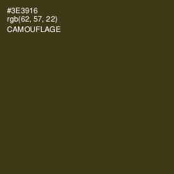 #3E3916 - Camouflage Color Image