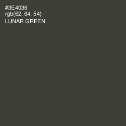 #3E4036 - Lunar Green Color Image