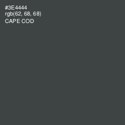#3E4444 - Cape Cod Color Image