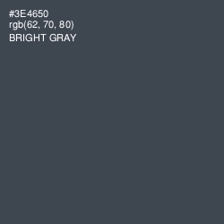 #3E4650 - Bright Gray Color Image