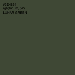 #3E4834 - Lunar Green Color Image