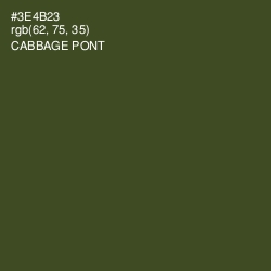 #3E4B23 - Cabbage Pont Color Image