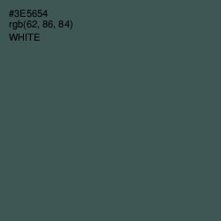 #3E5654 - Mineral Green Color Image