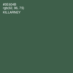 #3E604B - Killarney Color Image