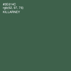 #3E614C - Killarney Color Image