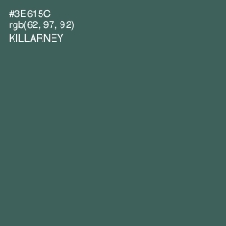 #3E615C - Killarney Color Image