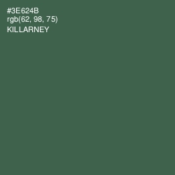 #3E624B - Killarney Color Image