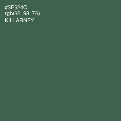 #3E624C - Killarney Color Image