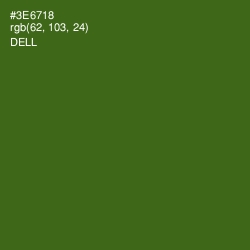 #3E6718 - Dell Color Image