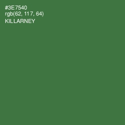 #3E7540 - Killarney Color Image