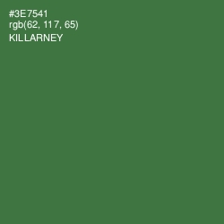 #3E7541 - Killarney Color Image