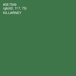 #3E7549 - Killarney Color Image