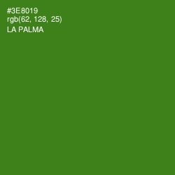 #3E8019 - La Palma Color Image