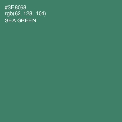 #3E8068 - Sea Green Color Image