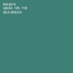 #3E8076 - Sea Green Color Image