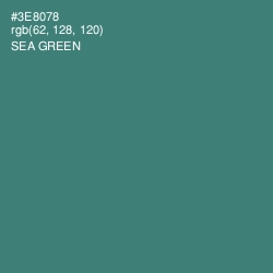 #3E8078 - Sea Green Color Image