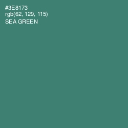 #3E8173 - Sea Green Color Image