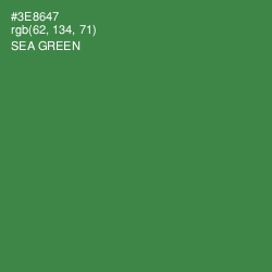 #3E8647 - Sea Green Color Image